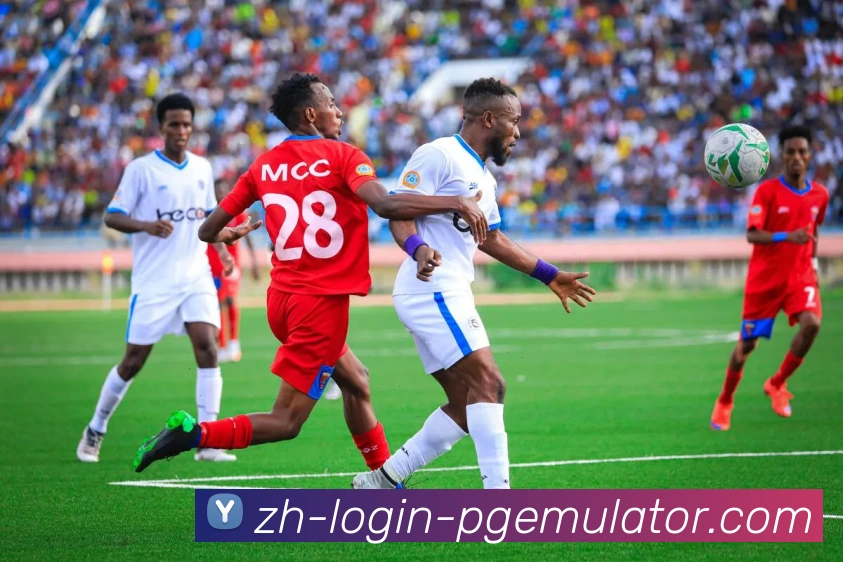 App Interface Preview